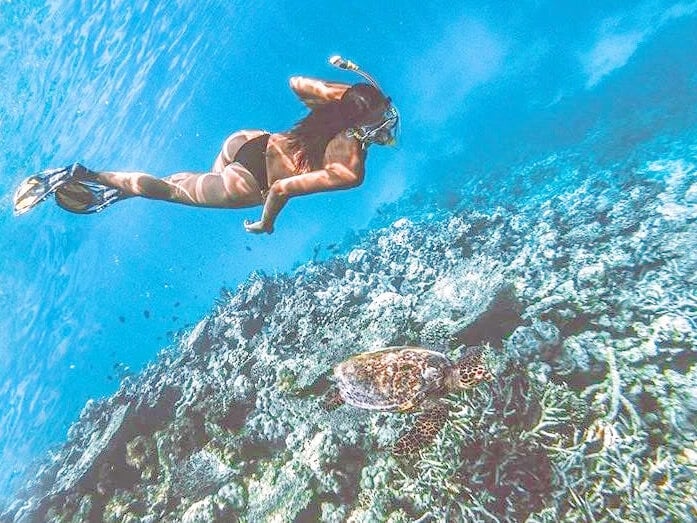 stripchat emilyinmiami webcam profile pic via elivecams.com