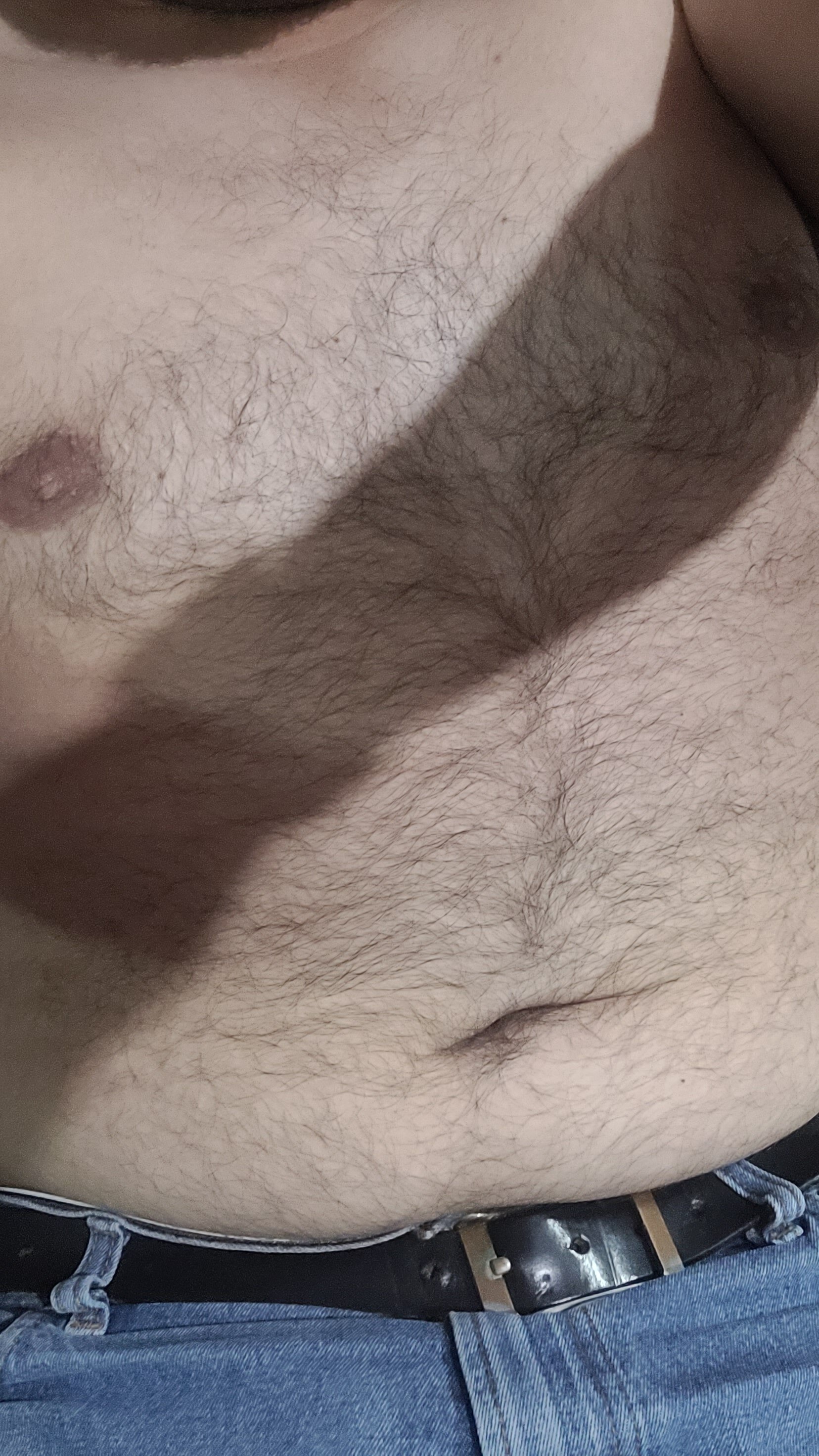 El_inge_oso