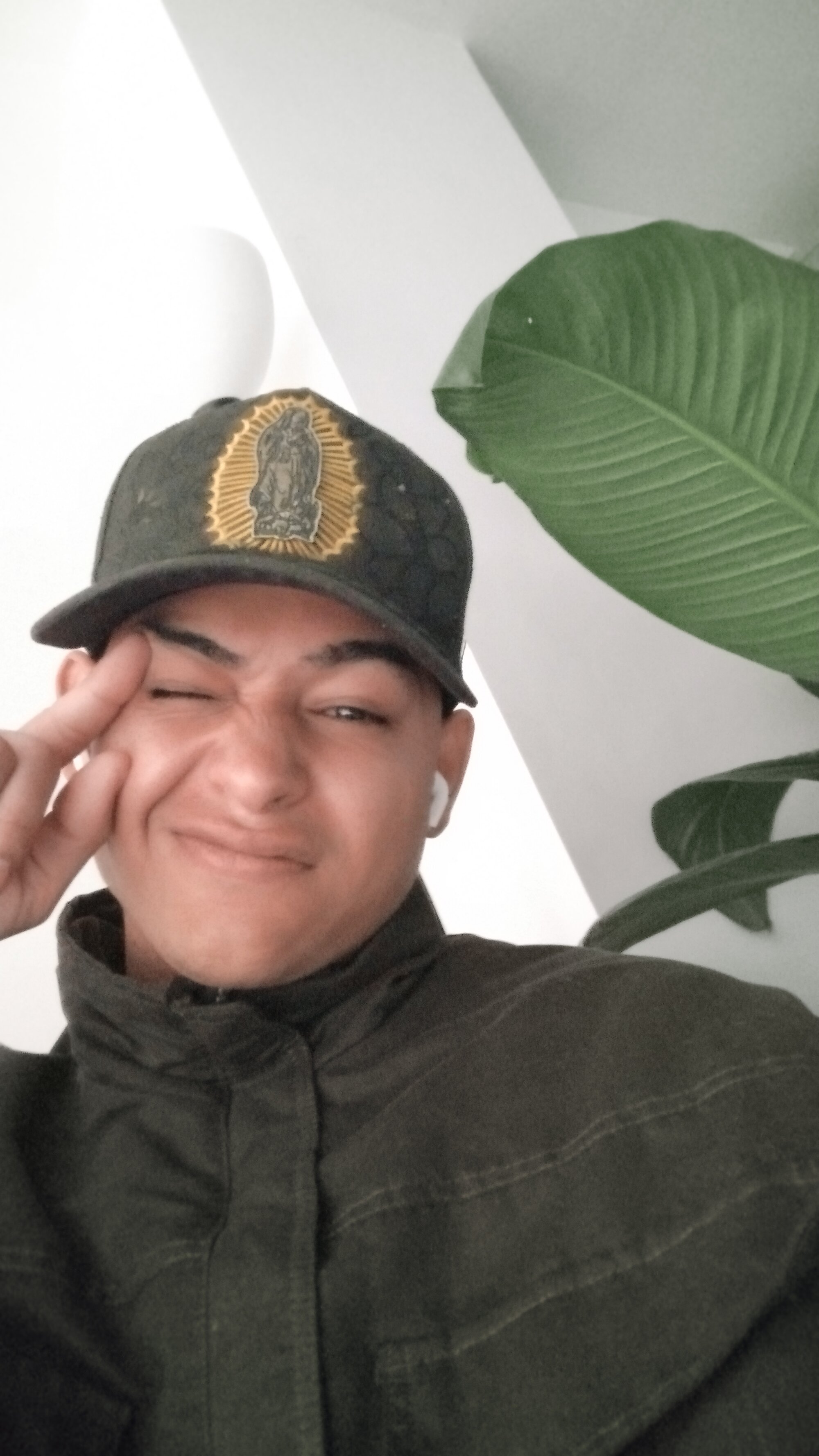 rexforctz