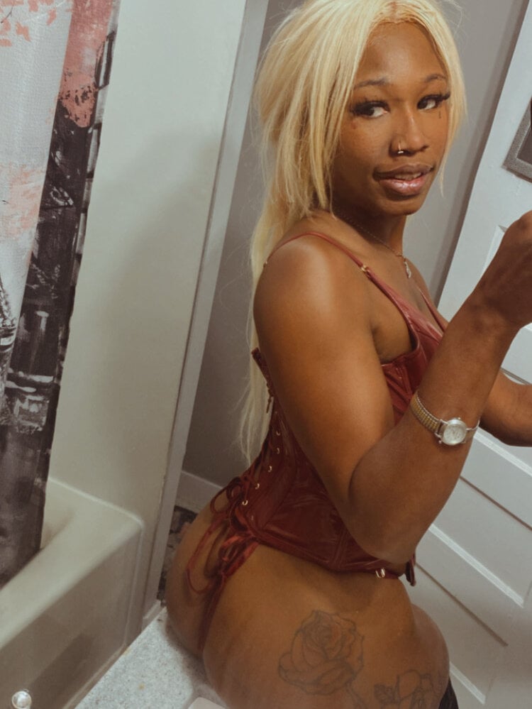 toybox96 from stripchat
