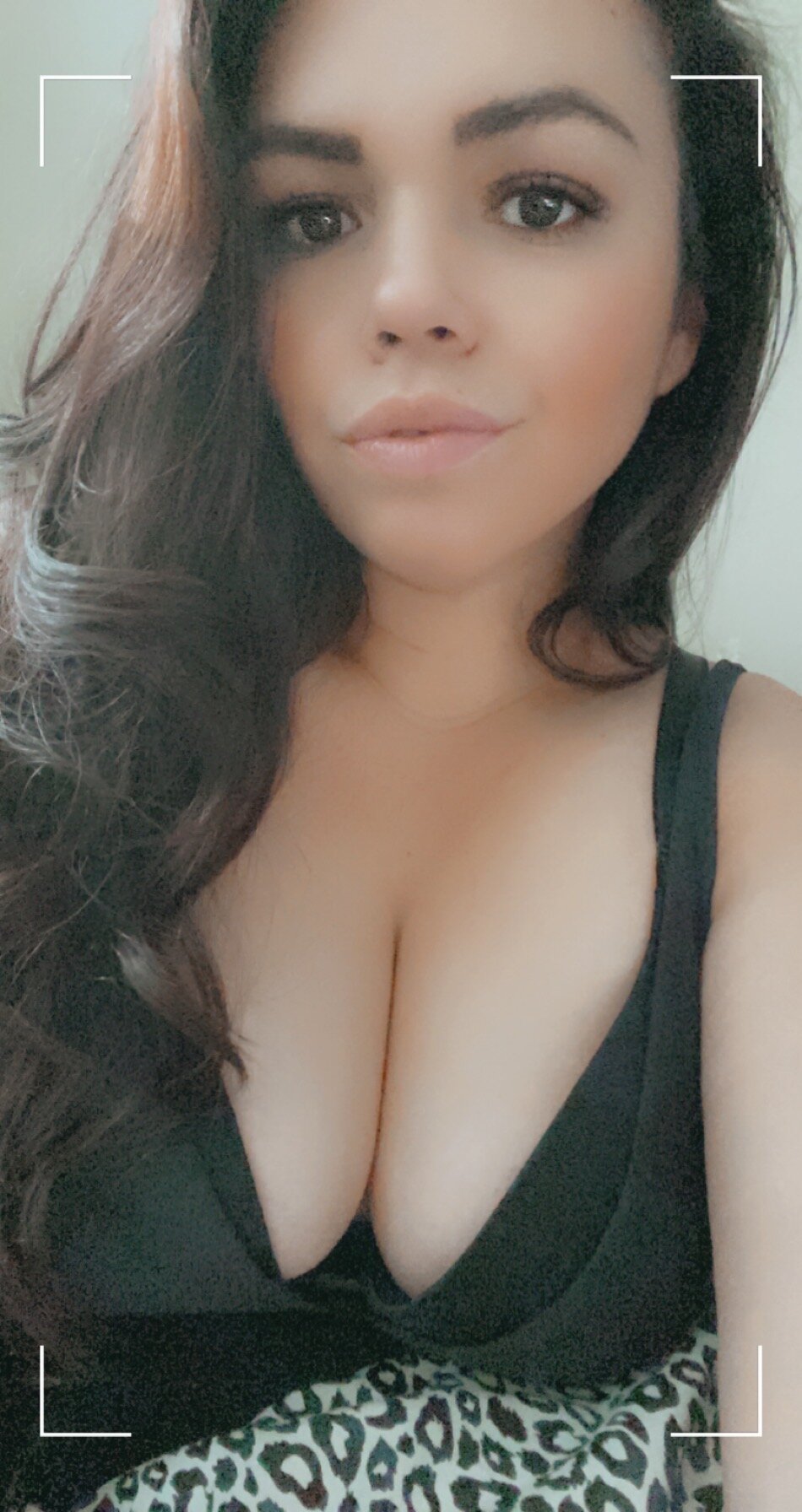 MsIvyG