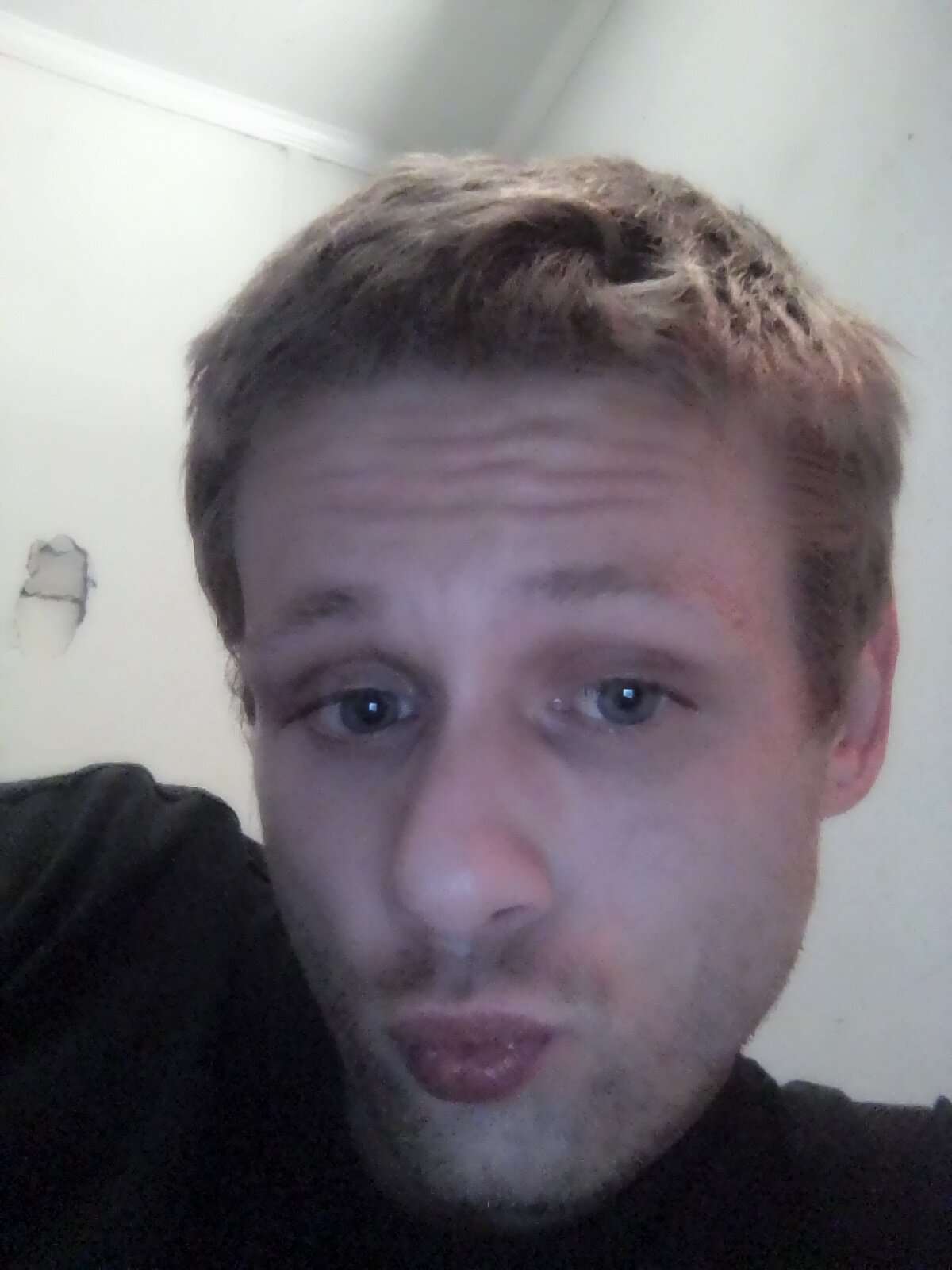 bryancurlee2024