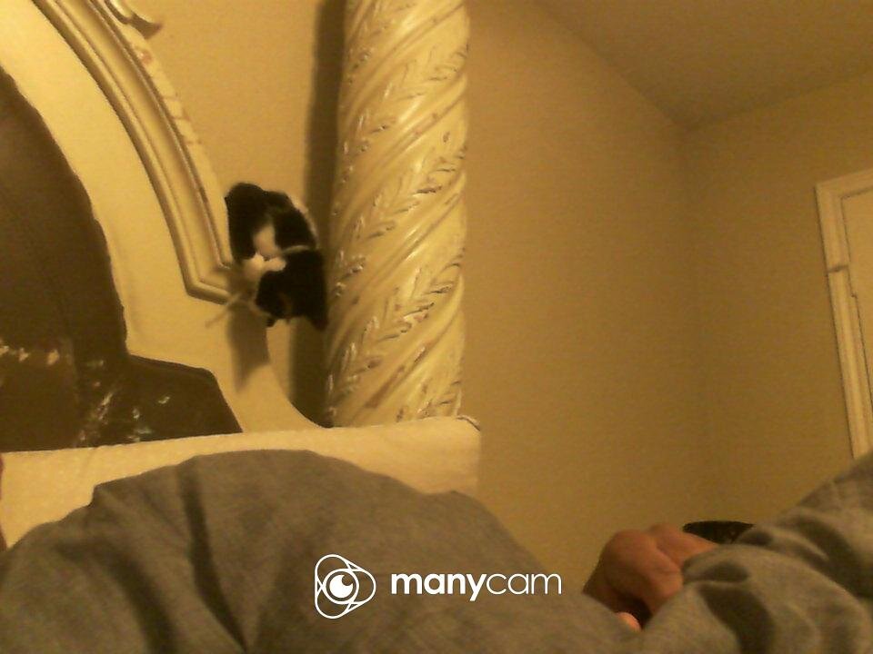 dababyboii's Offline XXX Chat