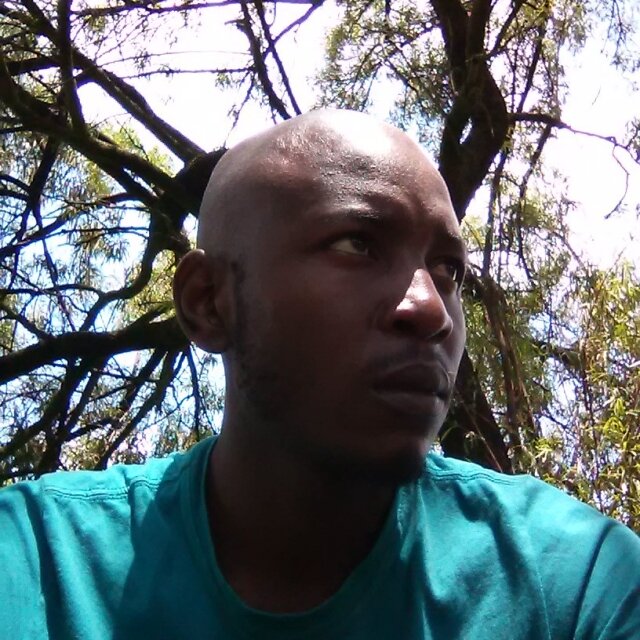 Timzozo1