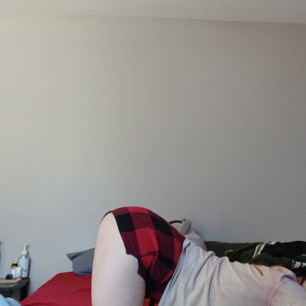 playboypuppy profile
