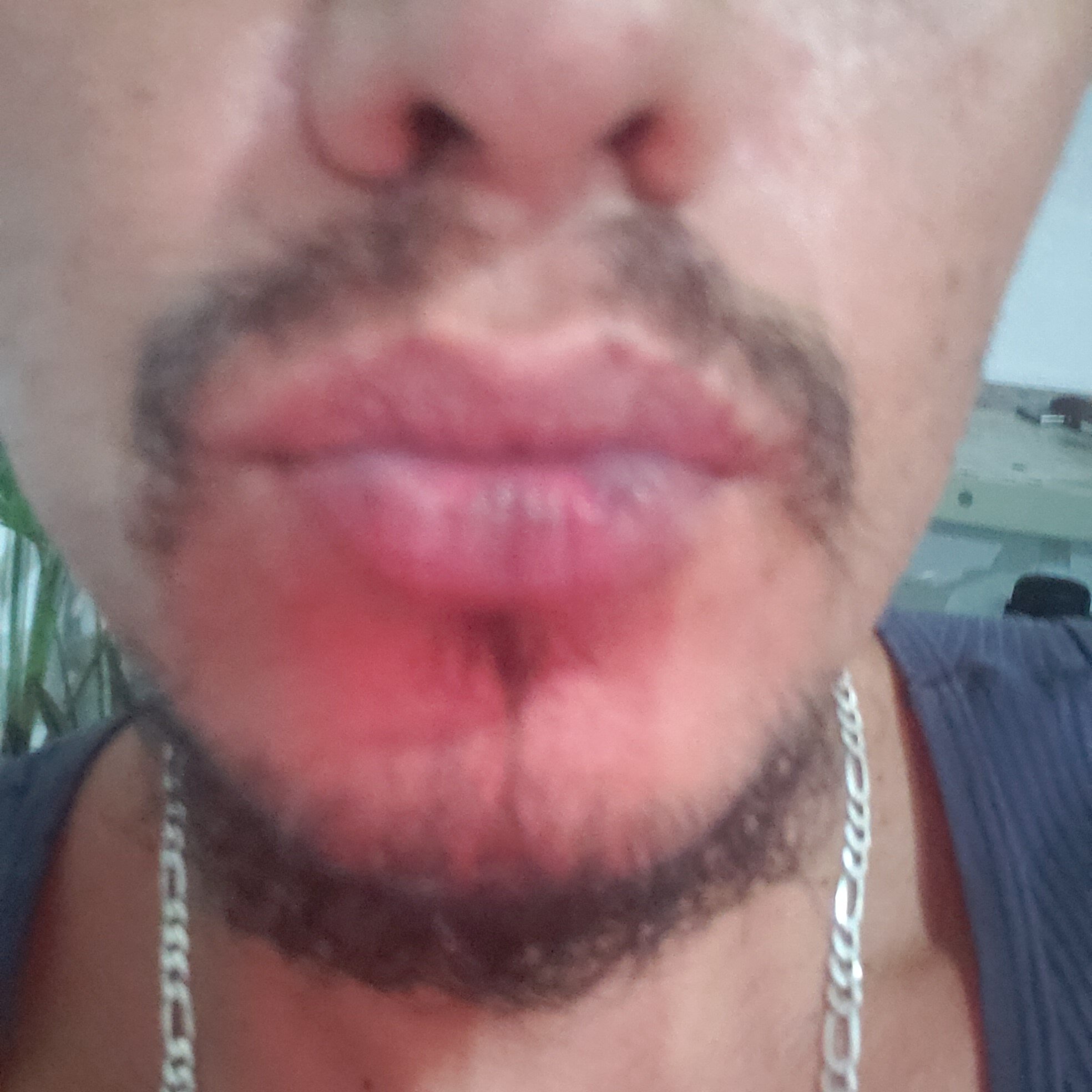 ursinhuu