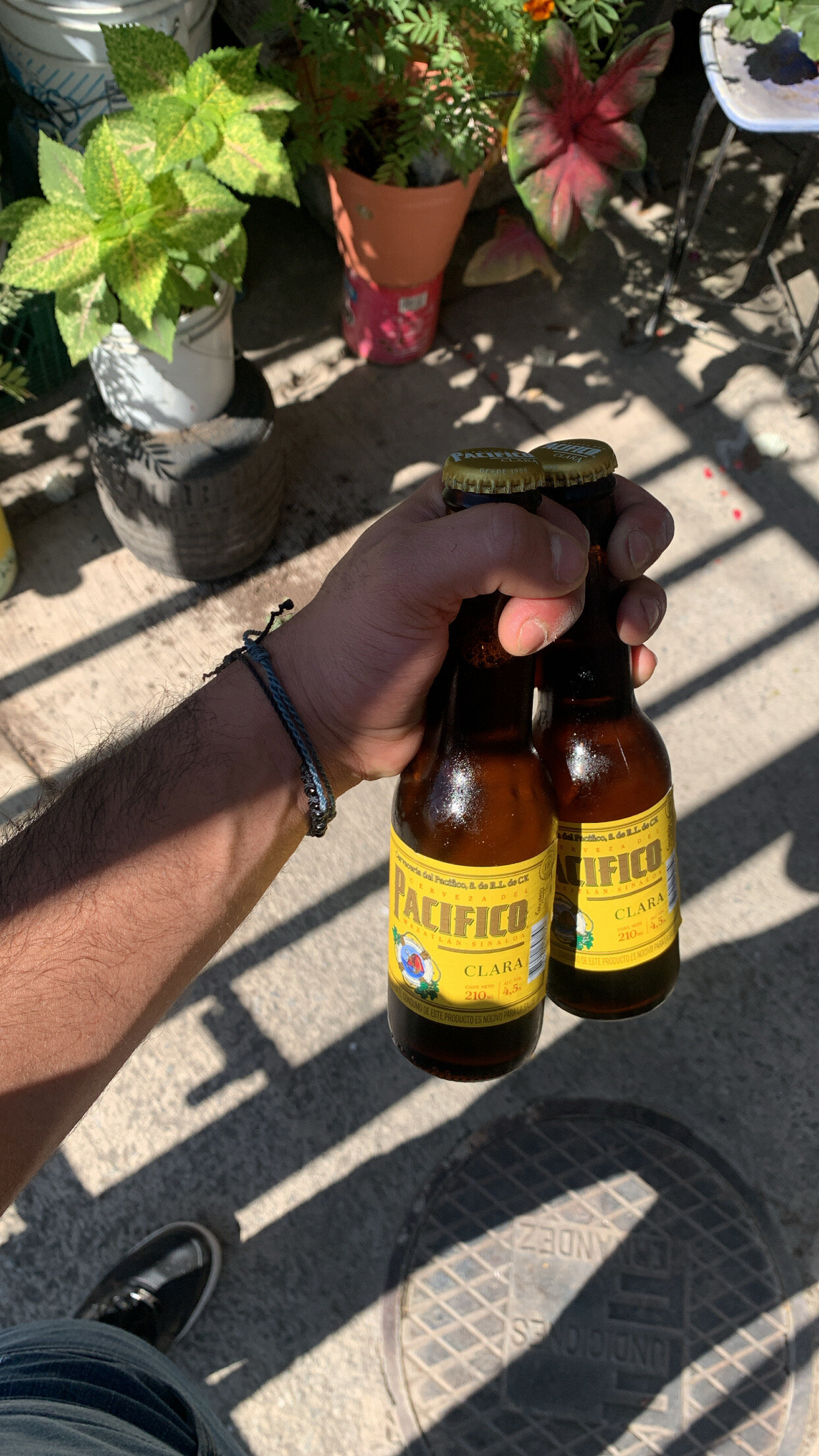 charrovgn