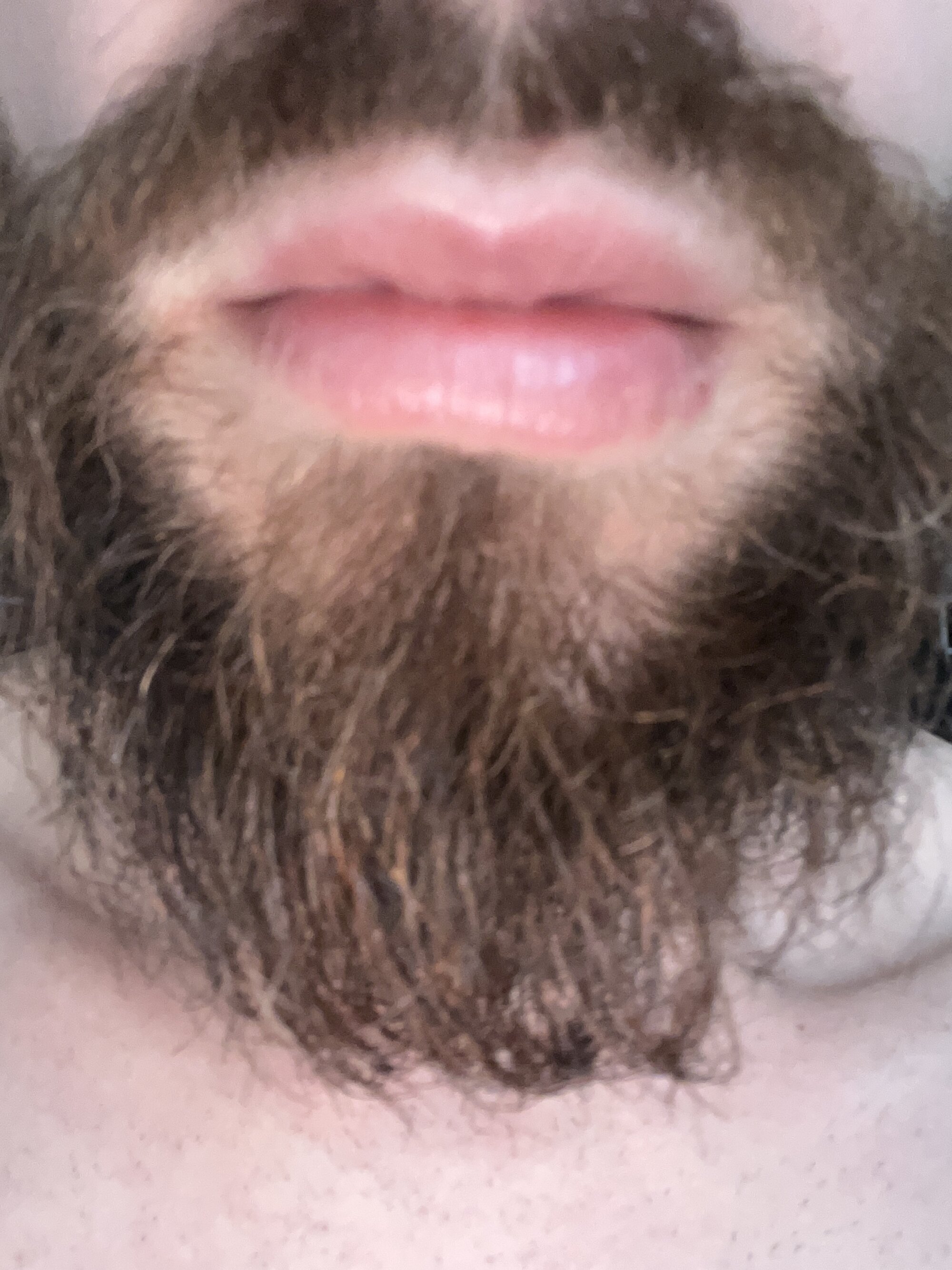 amigosafadinho4i20