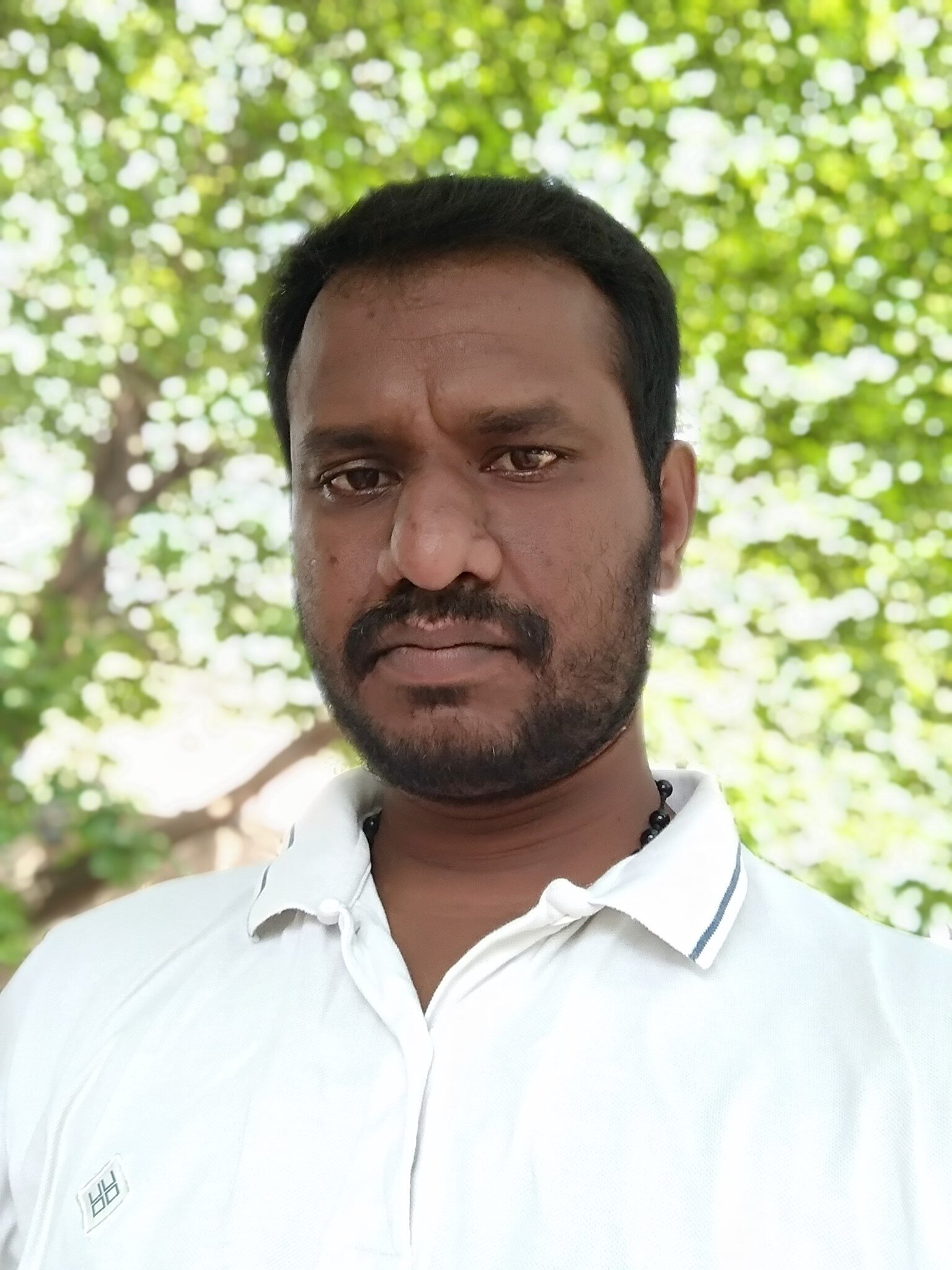 Dhoni_Ninja