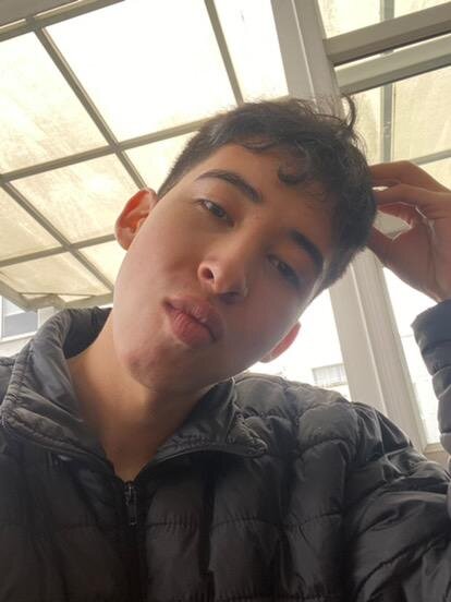 pollito15_14