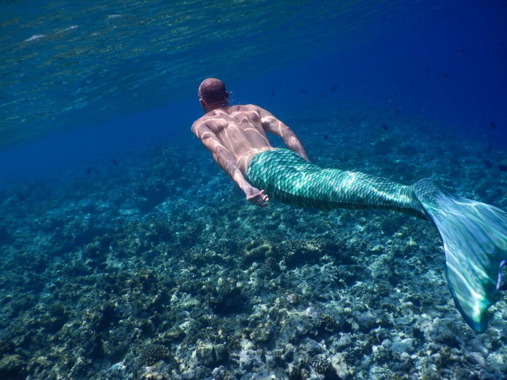 FFistPig69: офлайн-секс-чат