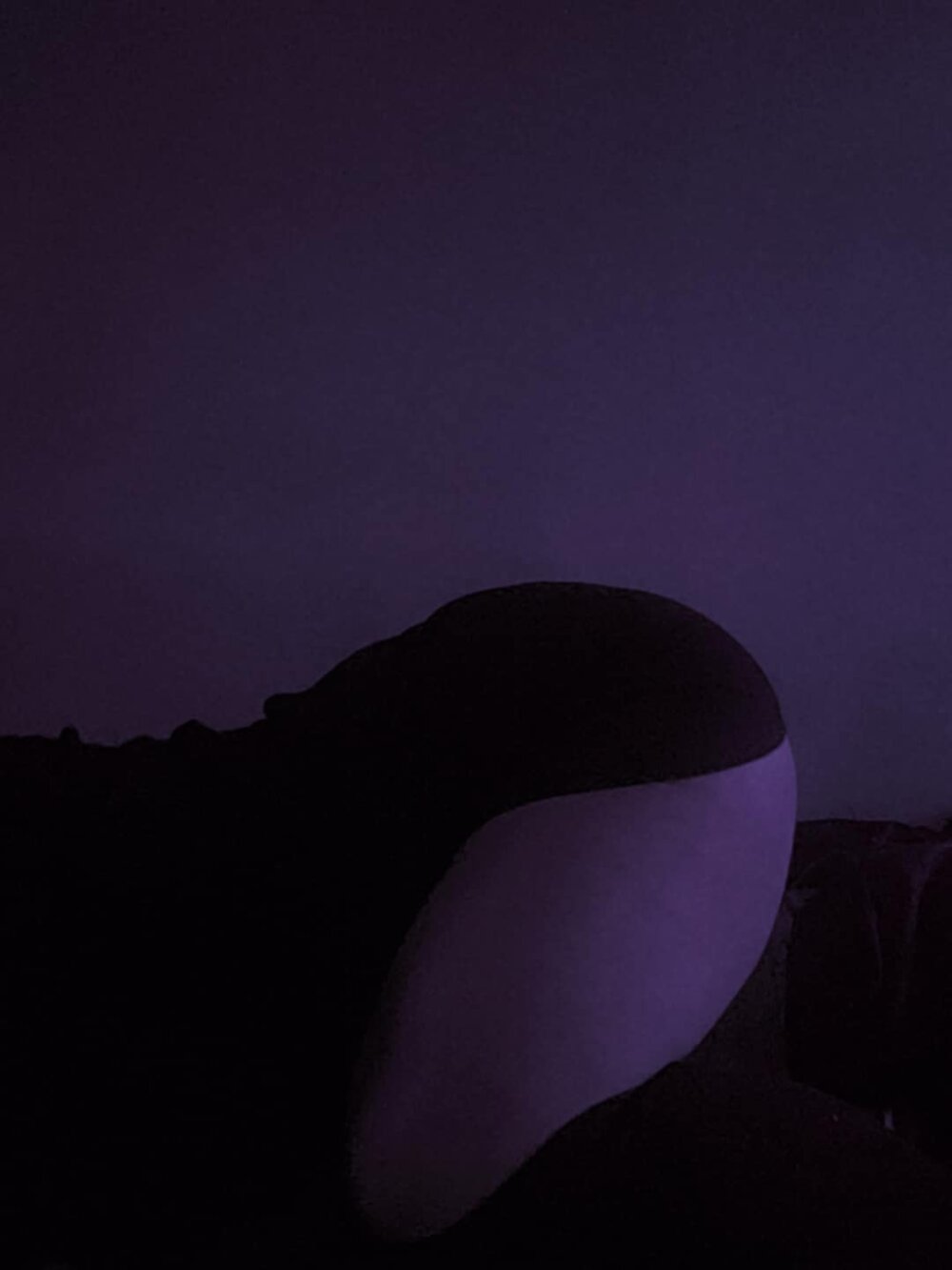 livesex.fan lamalportada livesex profile in land-of-vodka-and-big-bears3 cams