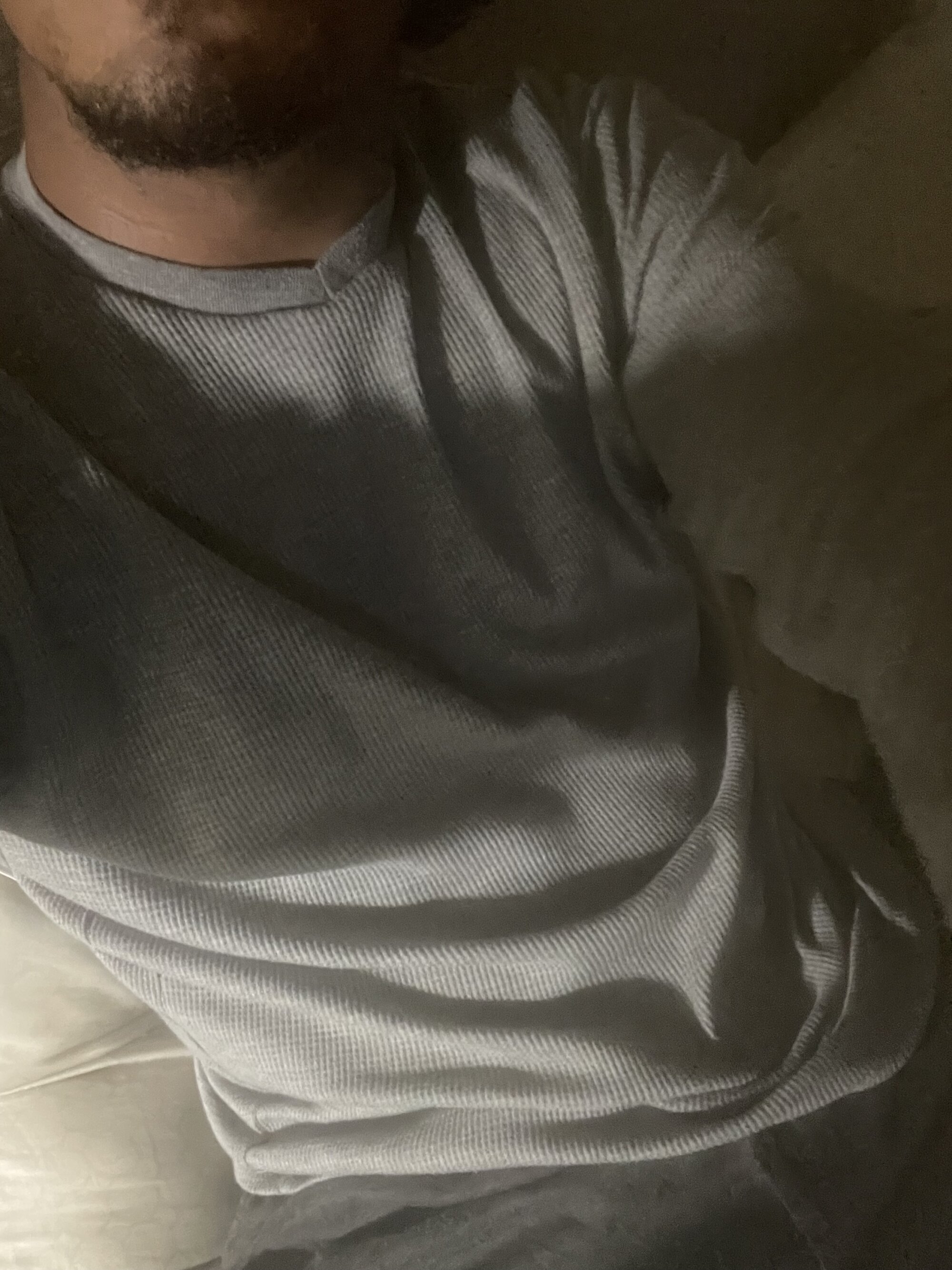 BBCforfur live webcam