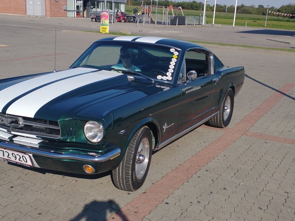 WardedStand Offline XXX-chat