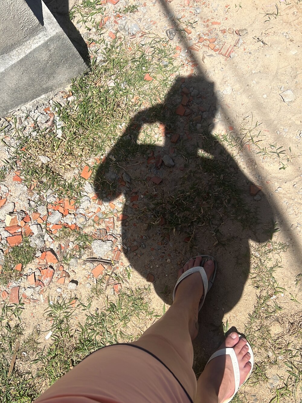 Leite21cm profile