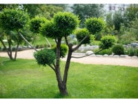 NightShade02's webcam live show