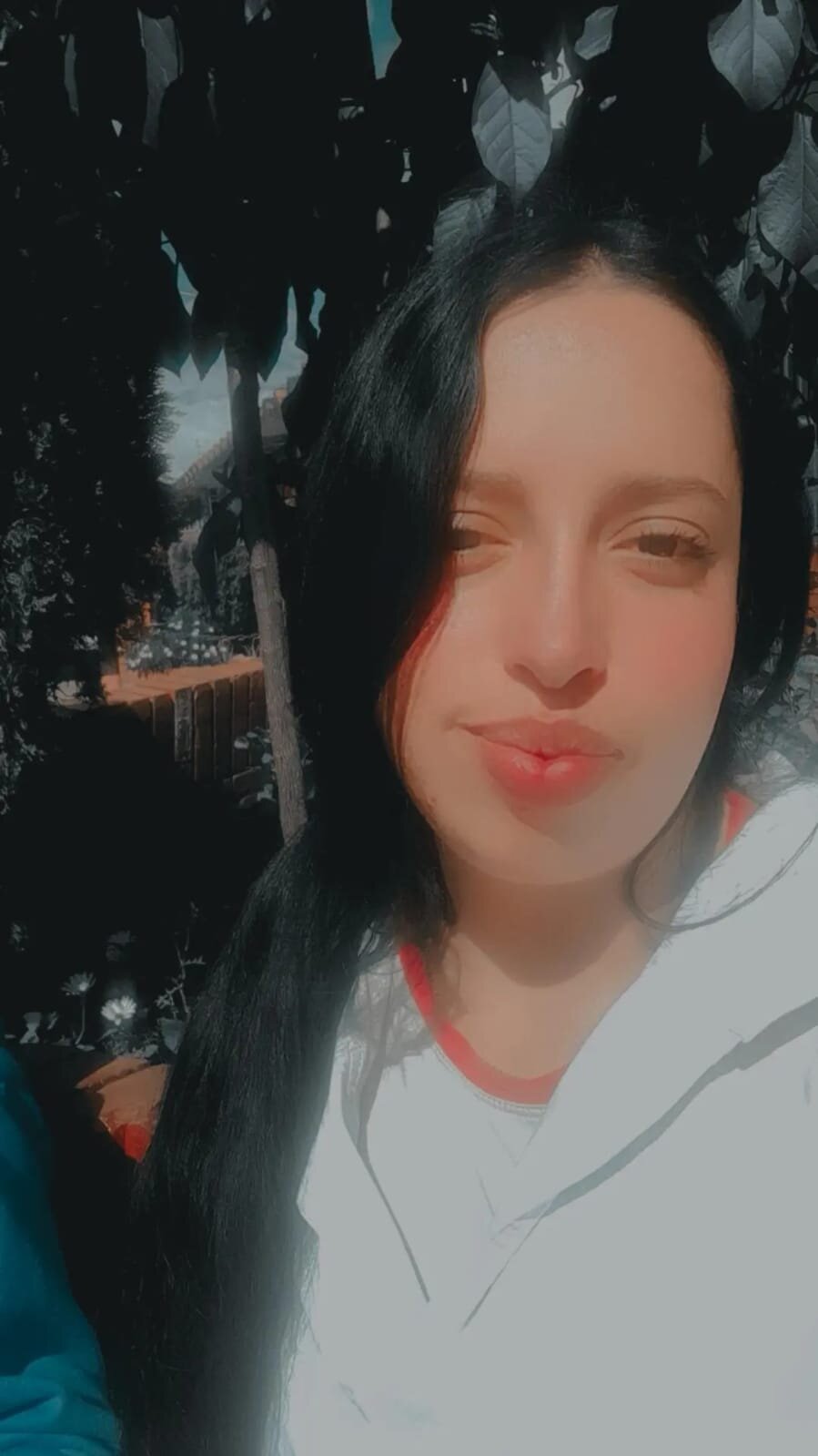 MIISY_DELUX