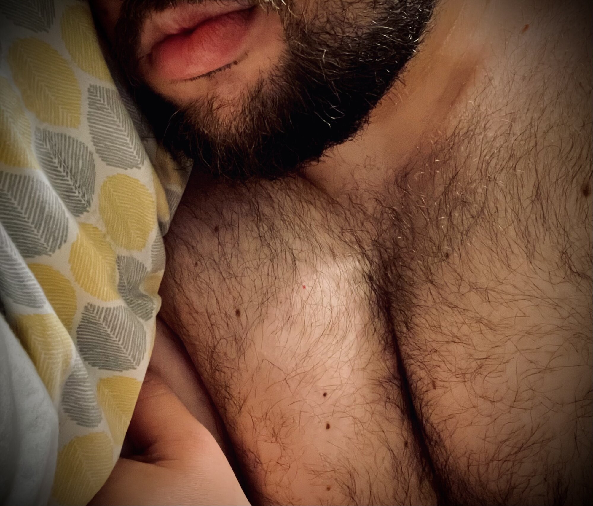 mtbear16