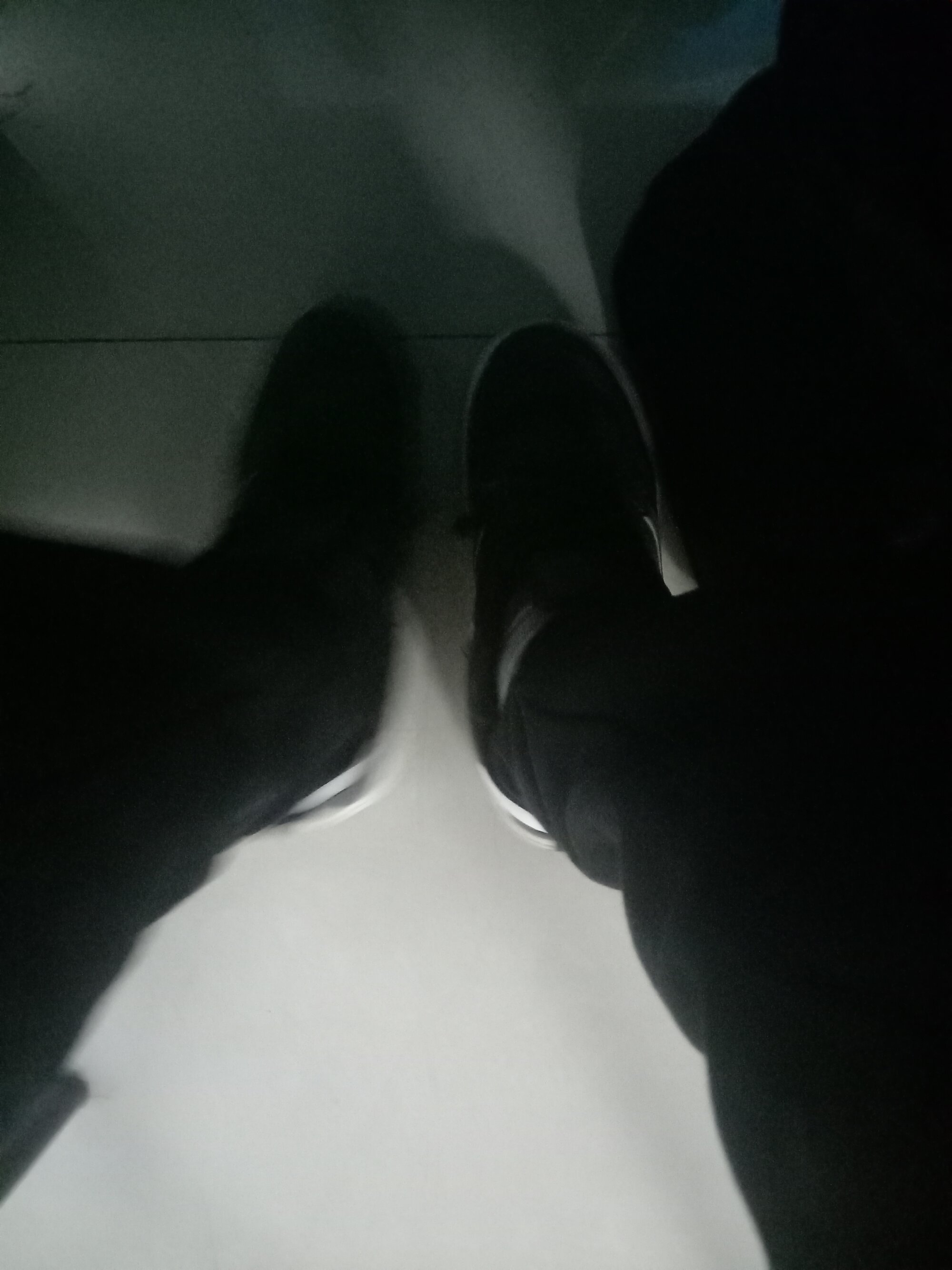 dallm5