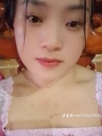 Модель Phoena-a