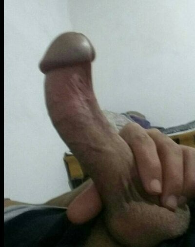 Bozeb1arabe Male Gays Free Cam XXX