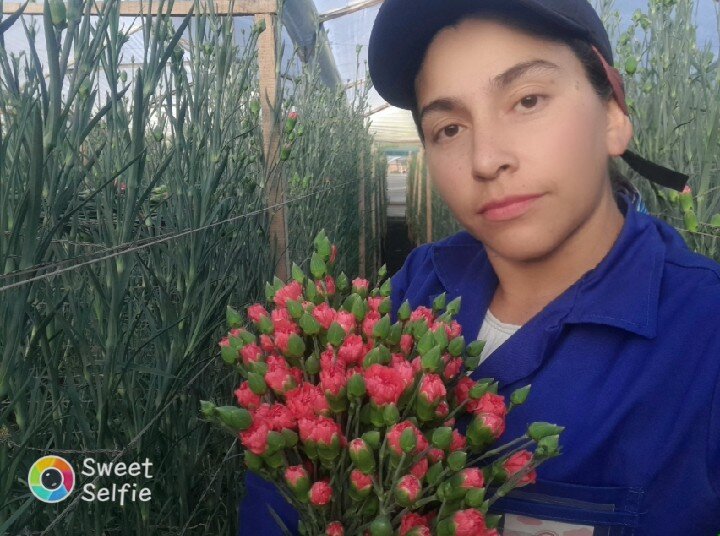princesa_dakota