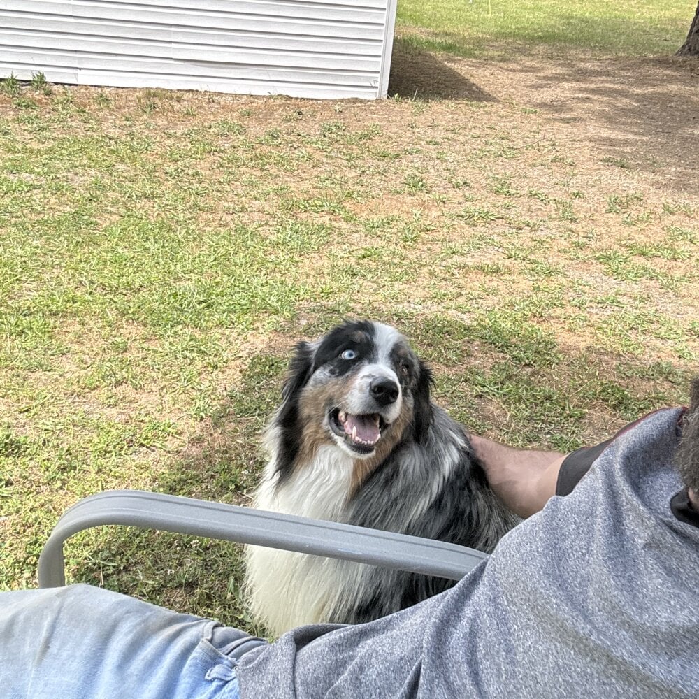 mysterious_cowboy offline XXX-chatje