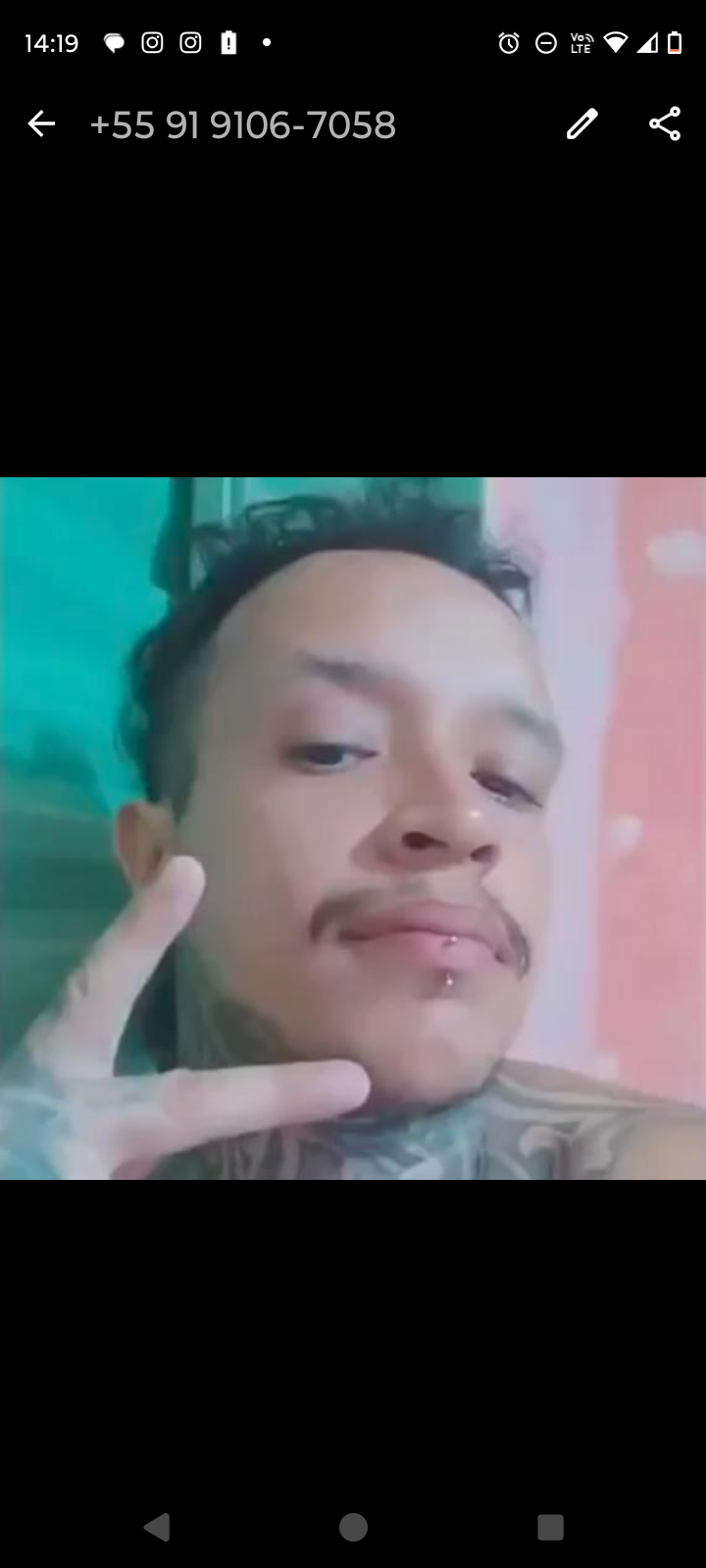 pirocada666