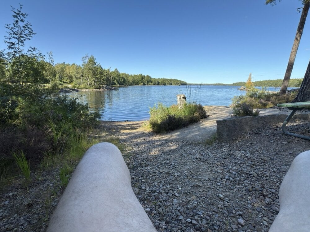 DickInTheWild's Offline XXX Chat