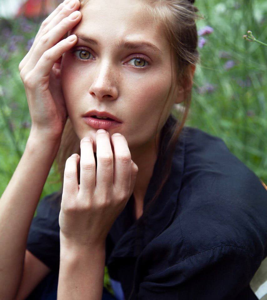 Viola_Aster profile