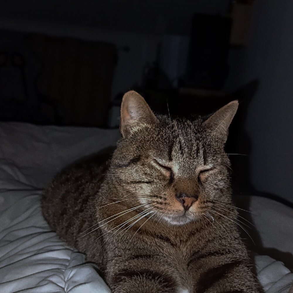 nonoaaaa132's most recent online preview