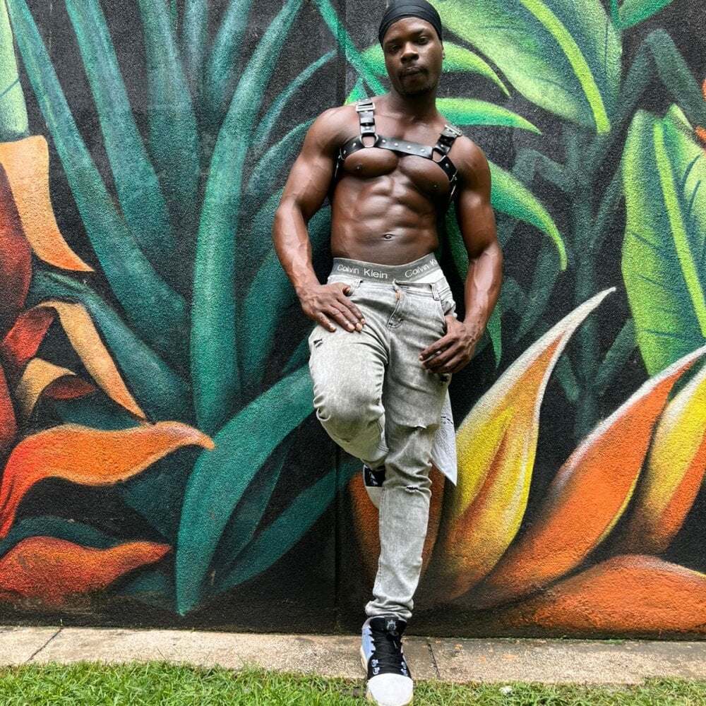 mrbyronstallion