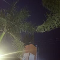 DonLuansXS' Offline XXX Chat