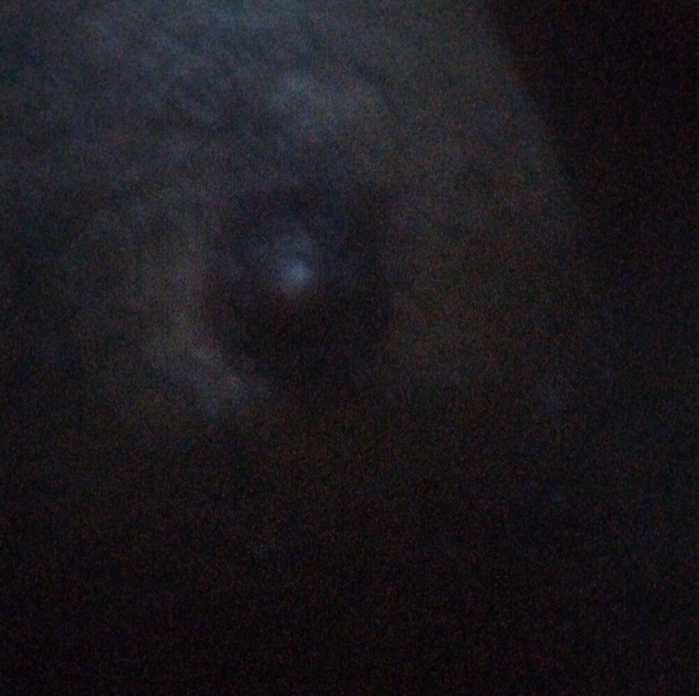 babydadyhorny Offline XXX-Chat