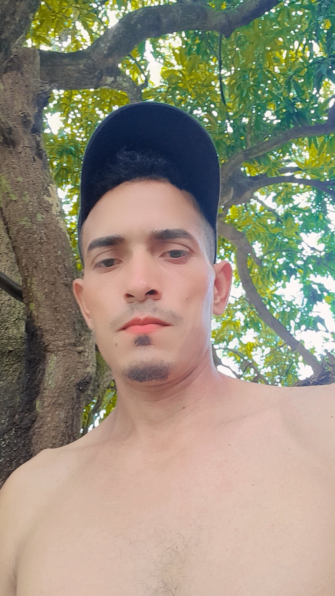josemono33