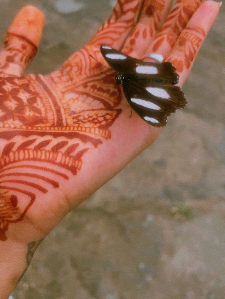 hotbutterfly420 profile