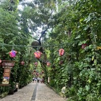 javfaann's webcam live show