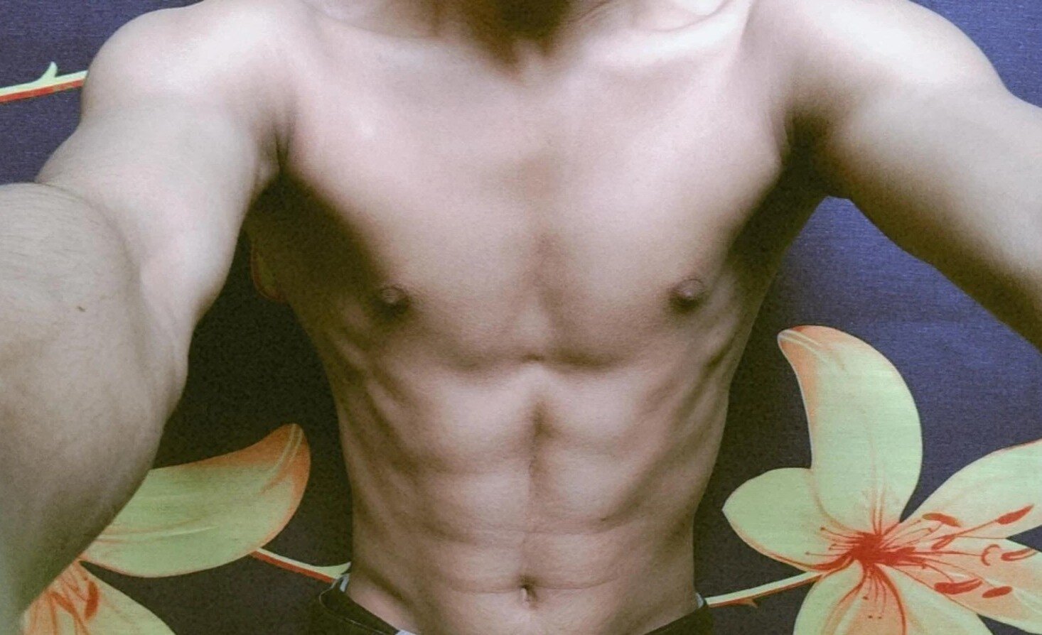 Lusty_Stallion