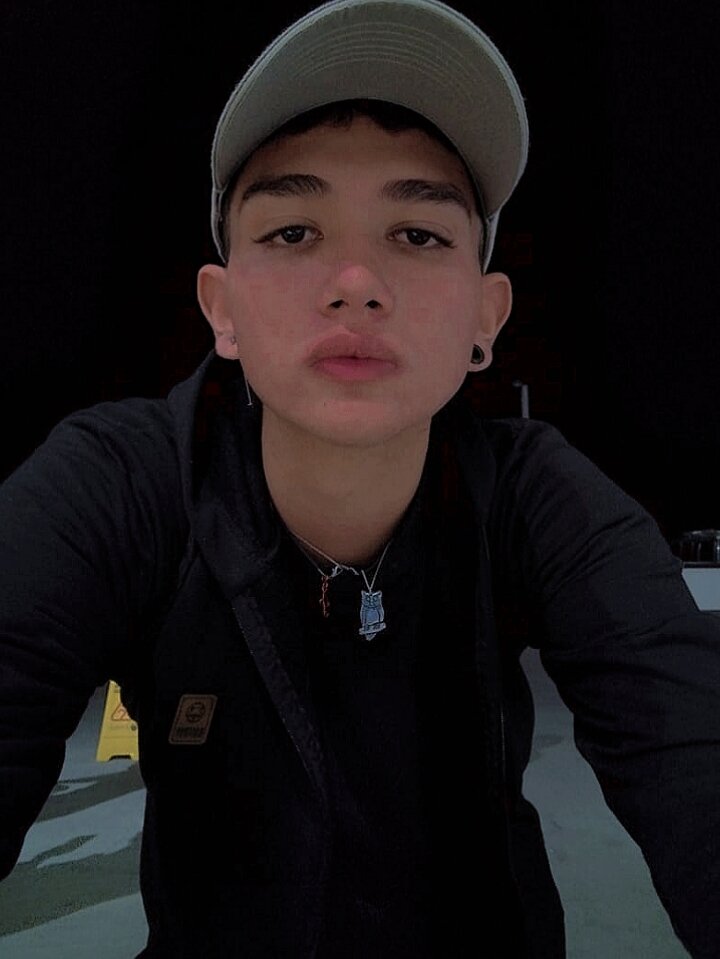 lion_zaynt
