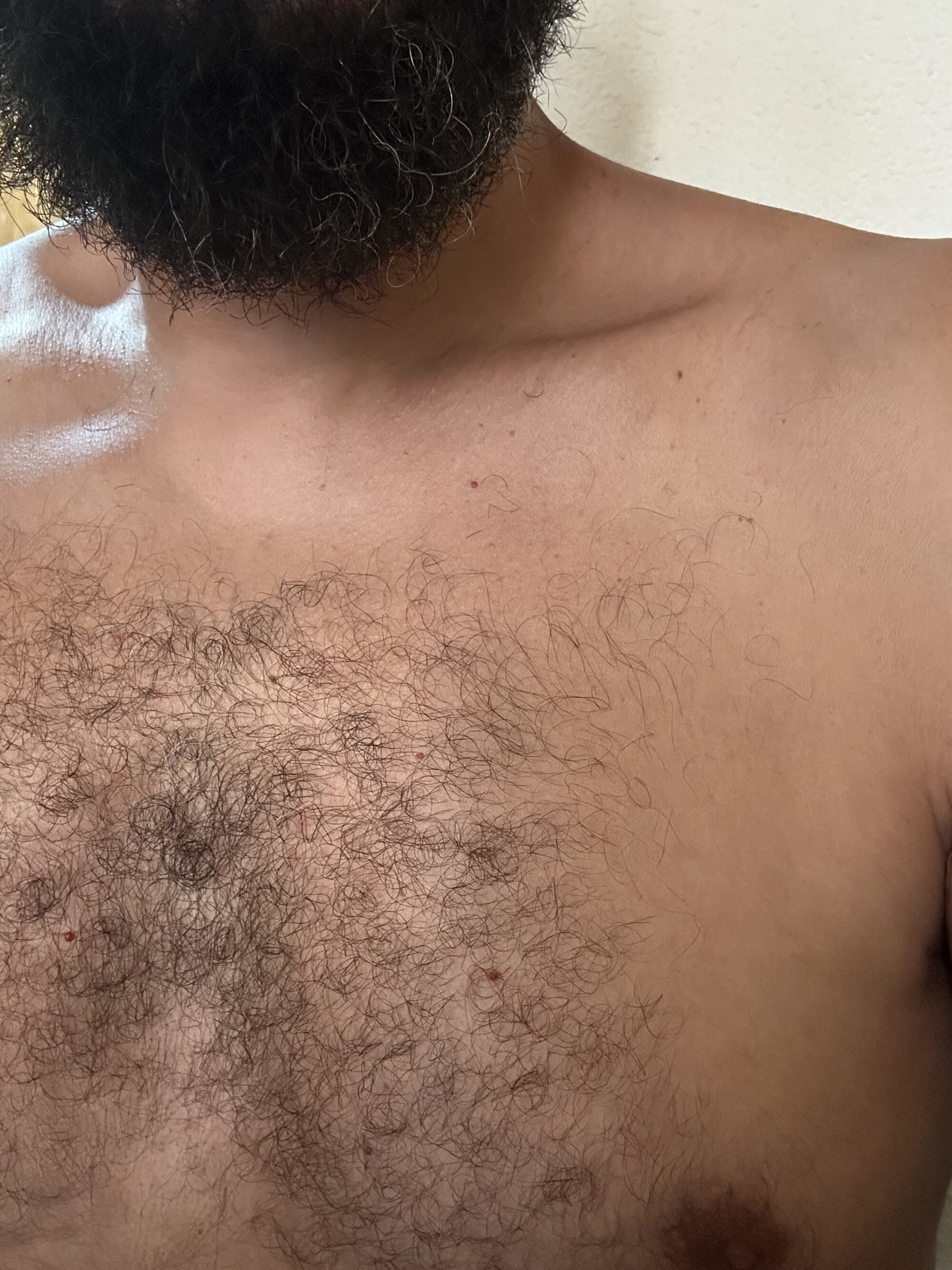 perrro_hortelano