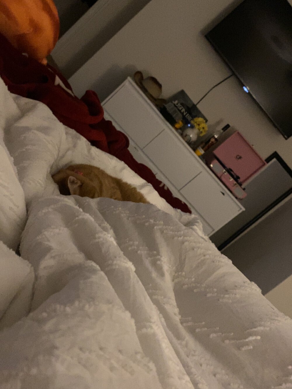 UnknownVixen's Offline XXX Chat