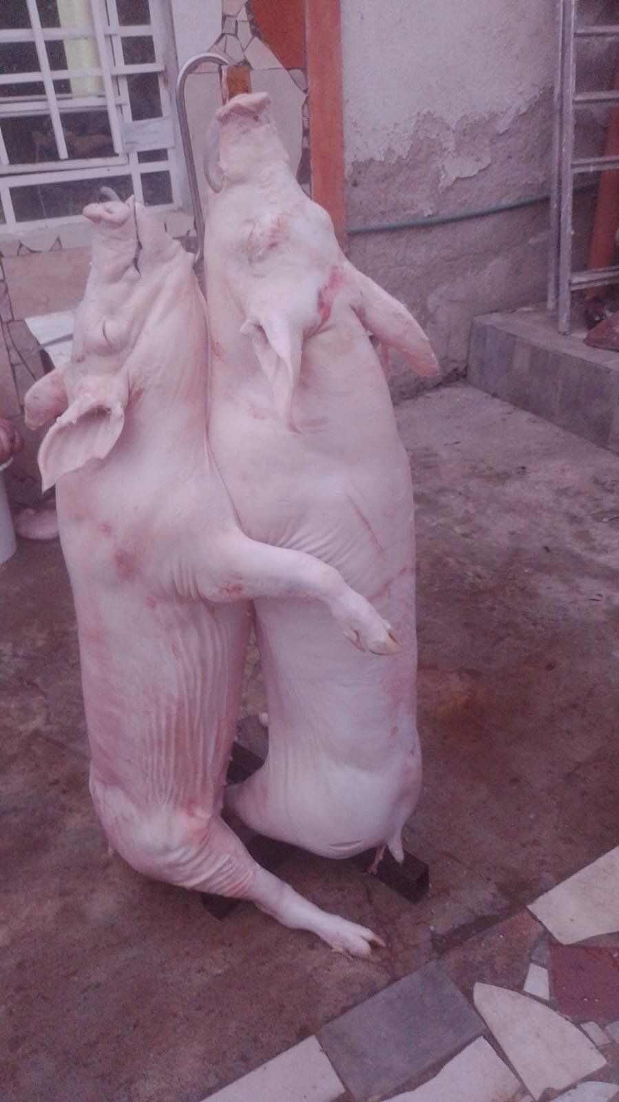 lujuriaexprex