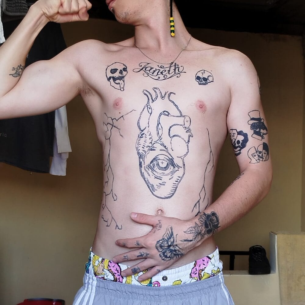 Sanix_NX profile