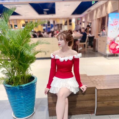 Hollycutes