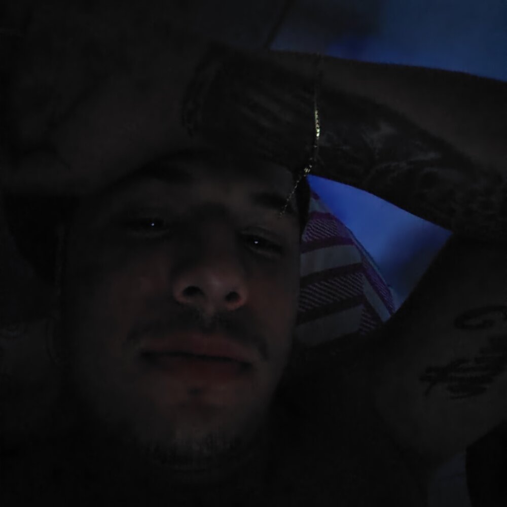 pollo_98