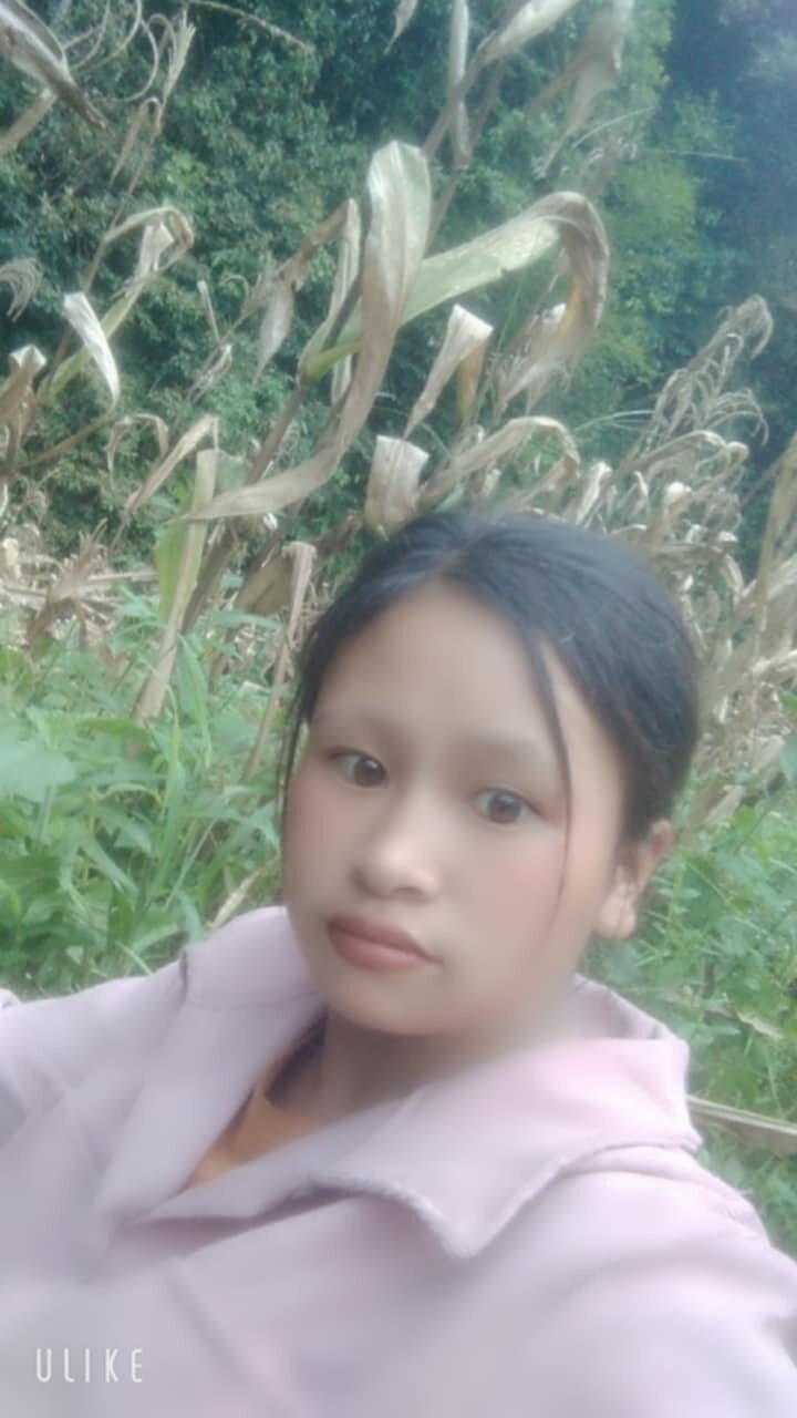 mingoc
