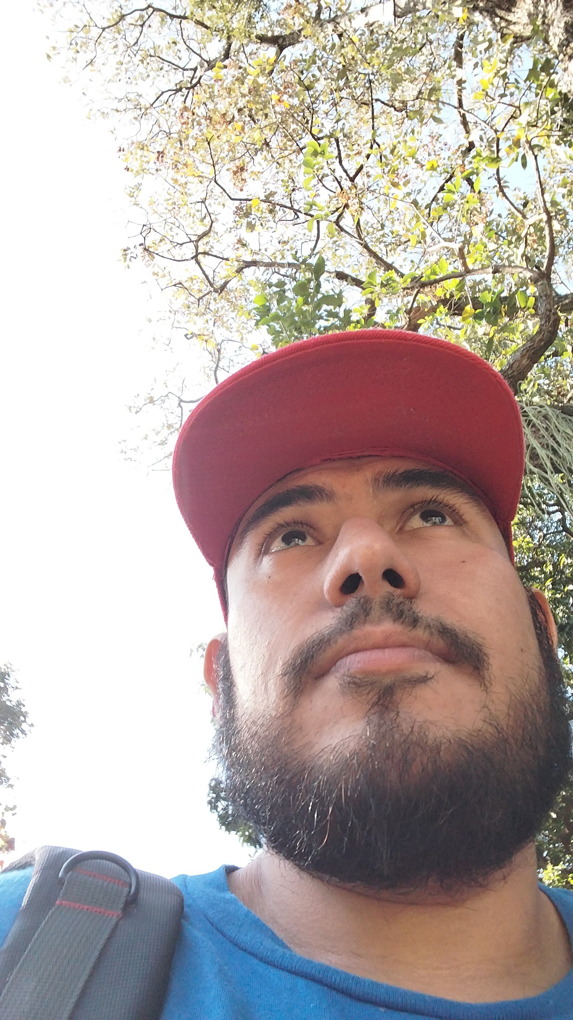 DGbeard95
