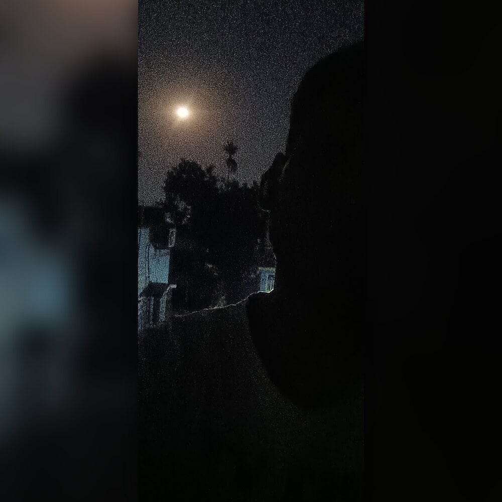 dombbcking profile