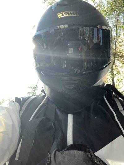 jacktorbienh profile