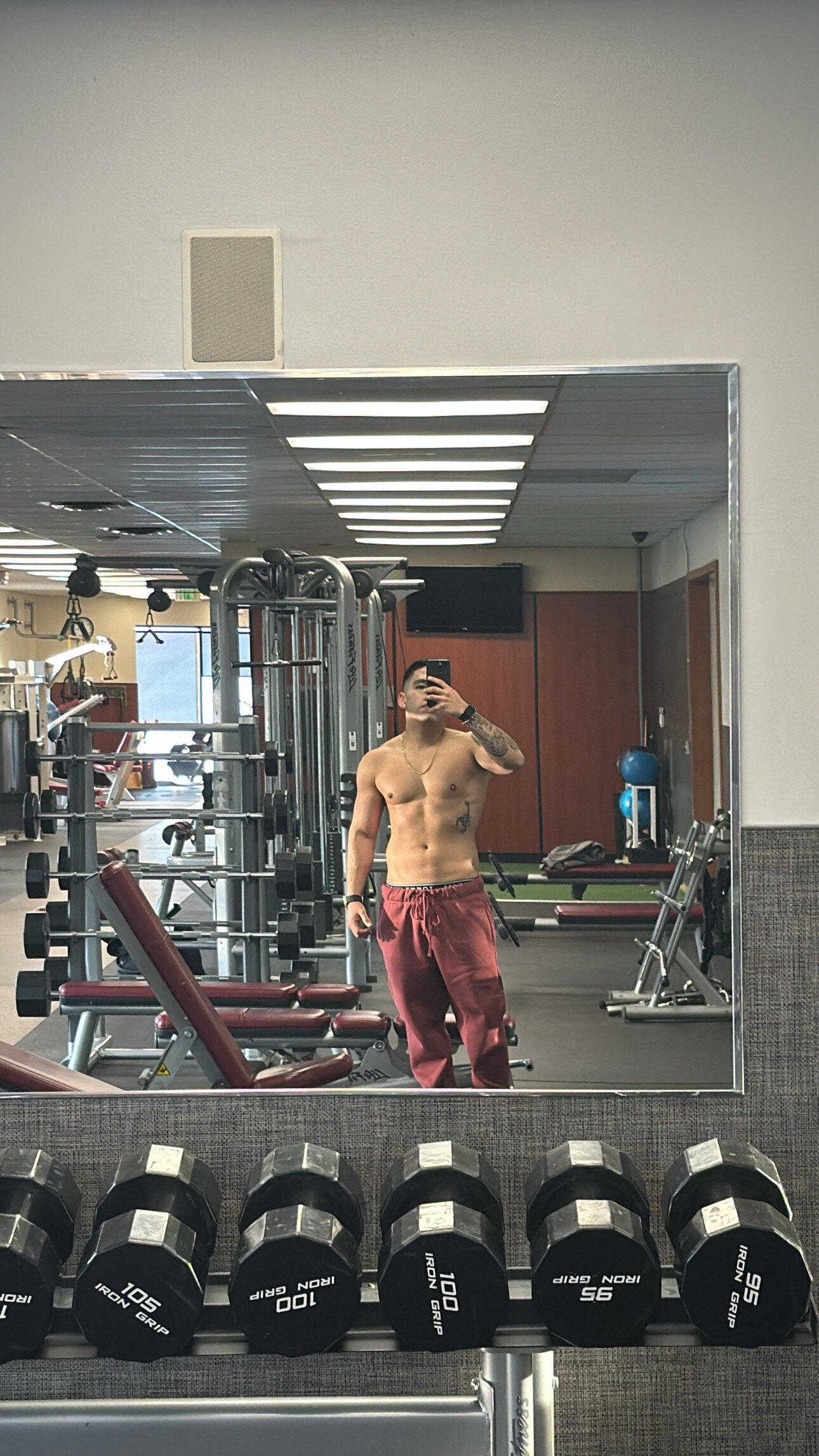 LatinoFit_jcvr18